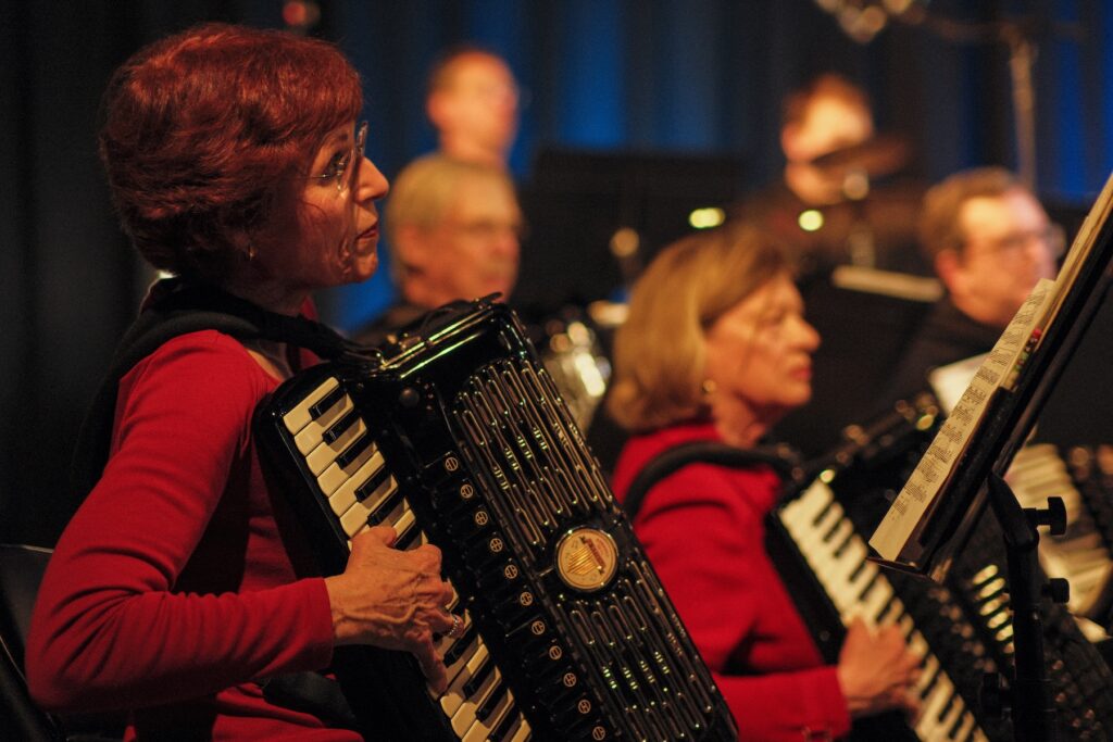 Person playing the accordion 